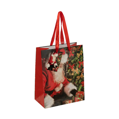 Christmas gift bag 18x23cm, , medium