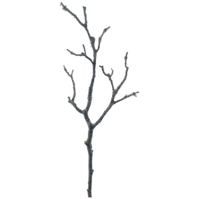 Magnolia branch brown, , medium