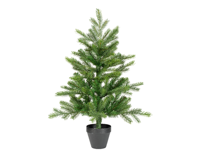 Grandis green mini tree in pot h75cm, , medium