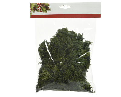 Decoration moss tillandsia natural color, , medium