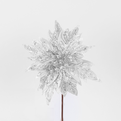 Poinsettia  white, , medium