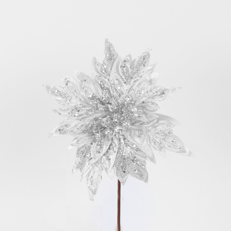 Poinsettia  white, , medium-null