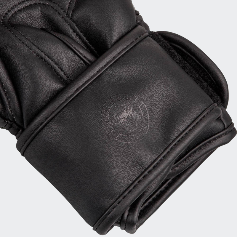 Challenger 3.0 boxing gloves-null