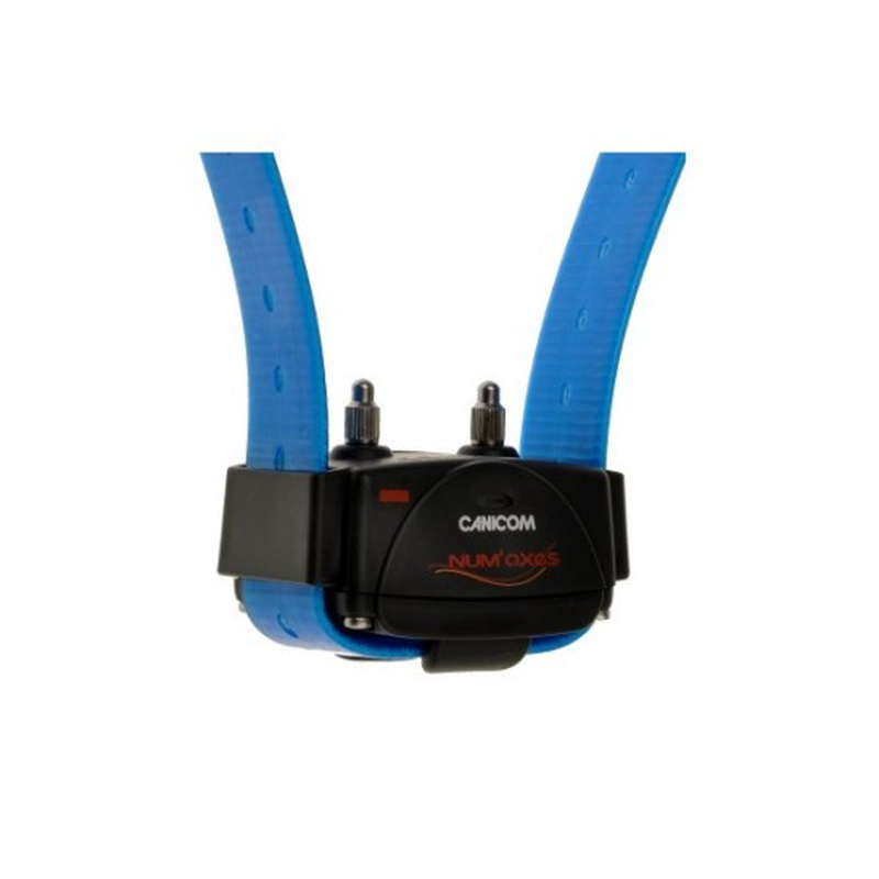 Numaxes canicom 1500 dog training collar (4 strap colours) - black-null