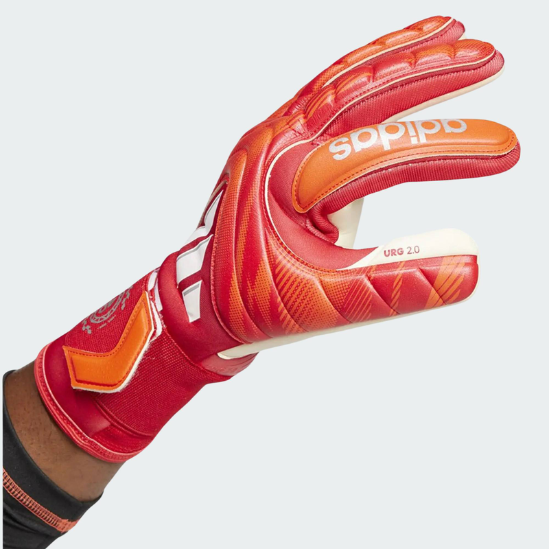 Copa gl pro-null
