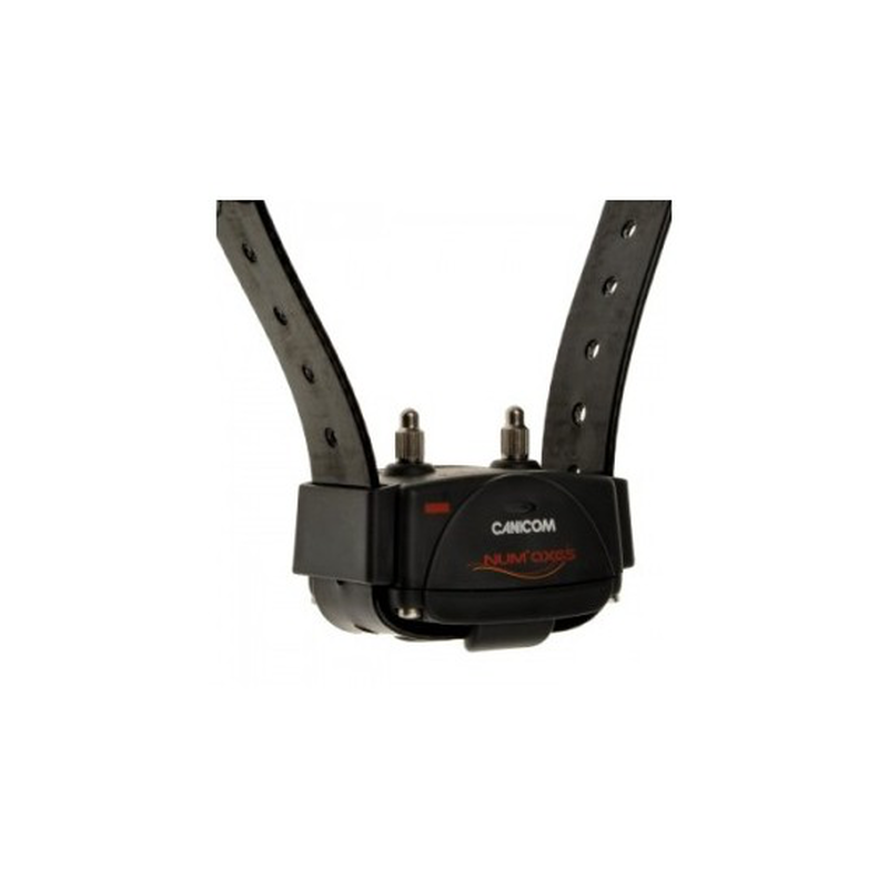 Numaxes remote dog training canicom 1500-null