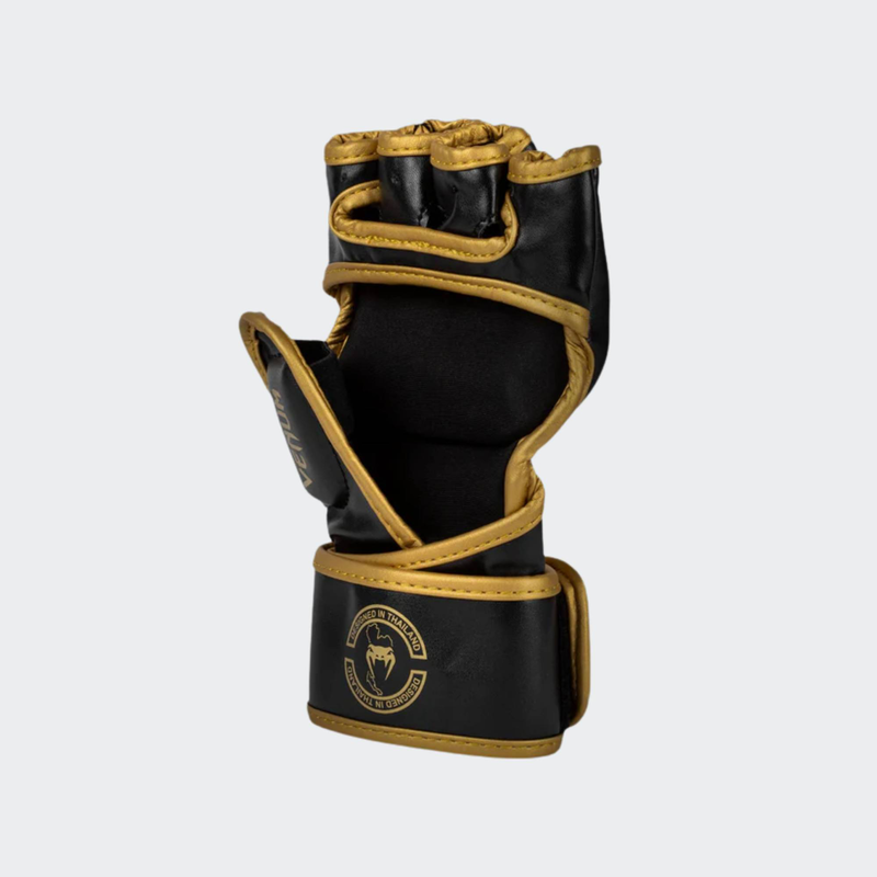 Challenger 2.0 mma gloves-null