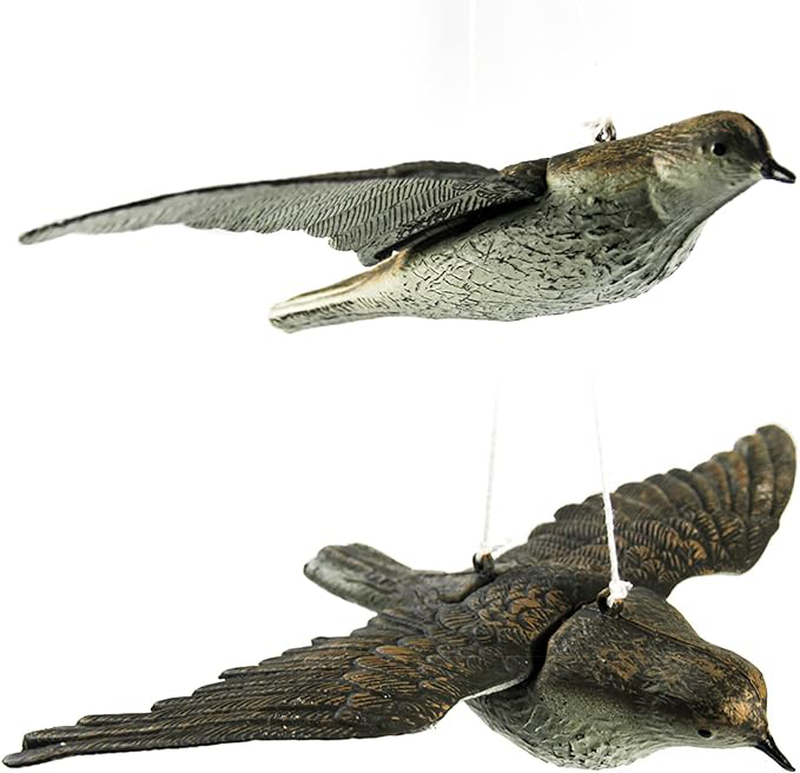Sport plast flying sky lark bird-null