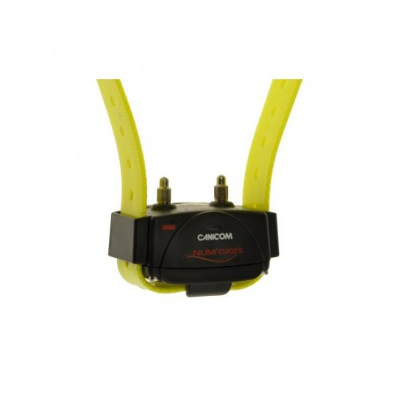 Numaxes canicom 1500 dog training collar (4 strap colours) - black-null