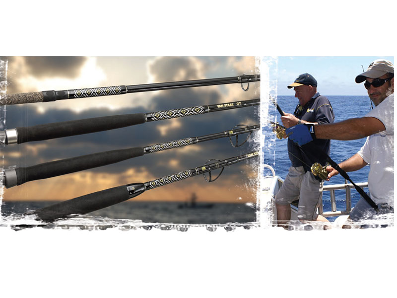 Van staal spinning rod vssf70m (length: 2.10m, braided line: 20#)), , medium-null