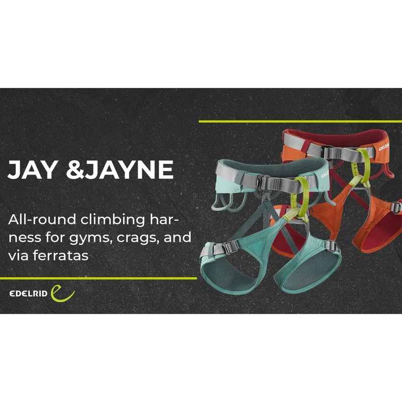 Jayne iv-null