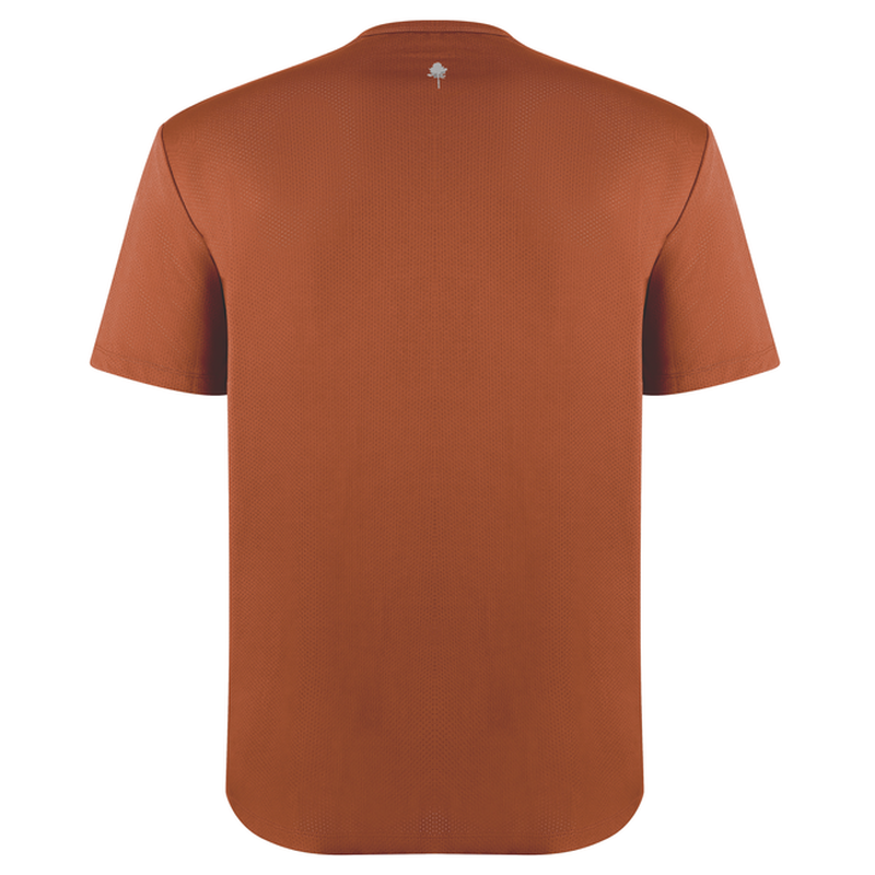 Pinewood t shirt short sl 5462 function 501-b org - large-null