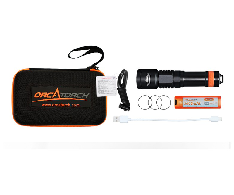 Orca torch diving d700-null