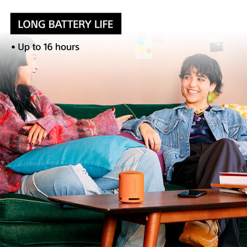 Sony srs-xb100b portable bluetooth speaker up to 16 hours-null