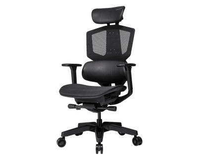 Cougar argo one black