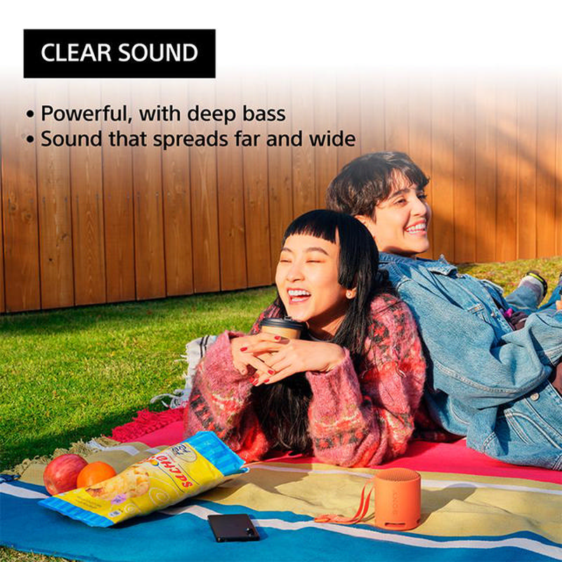 Sony srs-xb100b portable bluetooth speaker up to 16 hours-null