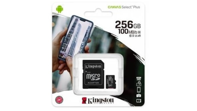 Kingston micro sd 256GB, , medium
