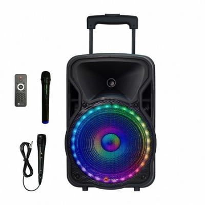 N-gear flash 12 portable speaker led USB mic, , medium