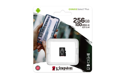 Kingston micro sd 256GB