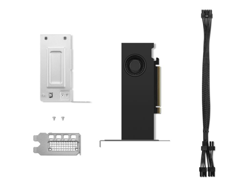Nvidia RTX 2000 ada - graphics card - nvidia RTX 2000 ada - 16GB gddr6 - pcie 4.0 x8 low profile - 4 x displayport, , medium-null