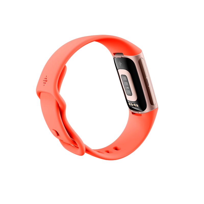 Fitbit charge 6 aluminium GPS-null