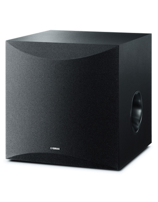 NS-SW100- active subwoofer