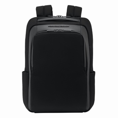 Porsche design roaster backpack xs