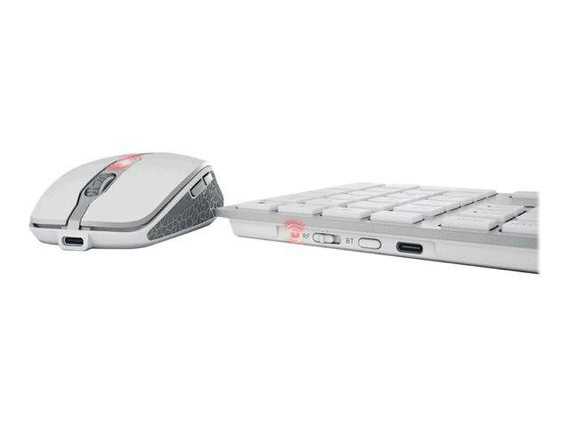 Cherry dw 9100 slim / keyboard and mouse set / wireless / 2.4 GHz, bluetooth 4.0 / us with euro symbol / white, silver, , medium-null