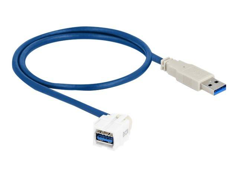 Delock keystone module USB 5GBps type-a female to type-a male 0.5 m | white-null