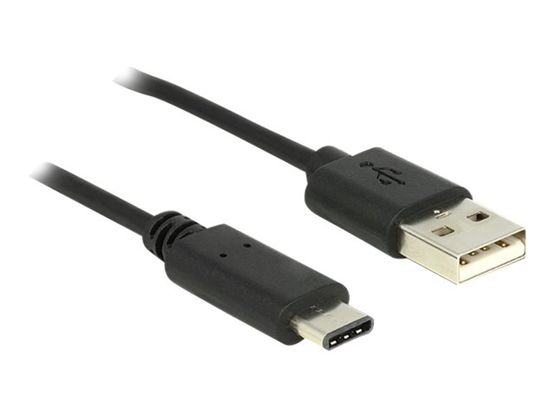 Delock - USB cable - USB-c (m) to USB (m) - USB 2.0 - 3 a - 50 cm - black-null