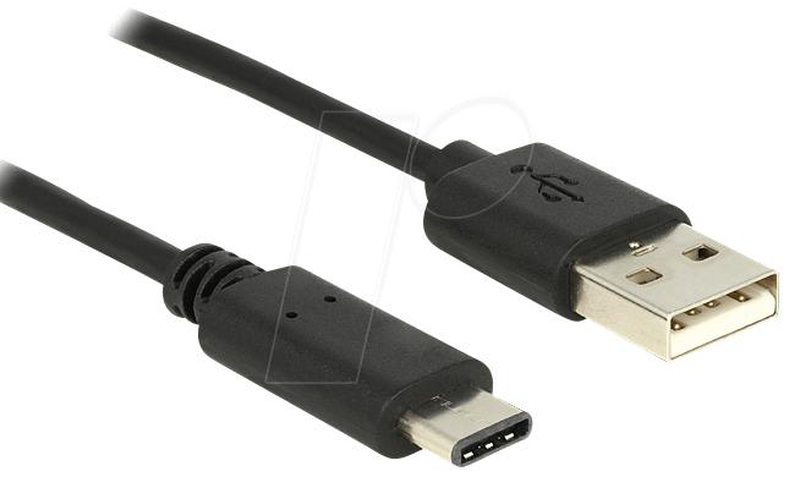 Delock - USB cable - USB-c (m) to USB (m) - USB 2.0 - 3 a - 50 cm - black-null