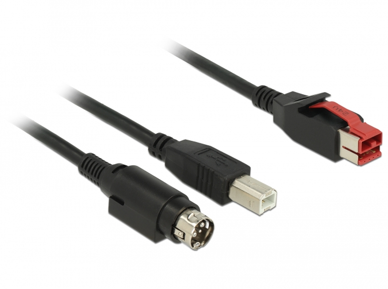 Delock - poweredUSB cable - USB pluspower (24 v) (m) to USB type b, power mini-din (m) - 24 v - 3 m - black-null
