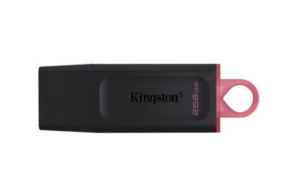 Kingston memory stick 256GB USB3 black exodia, , medium