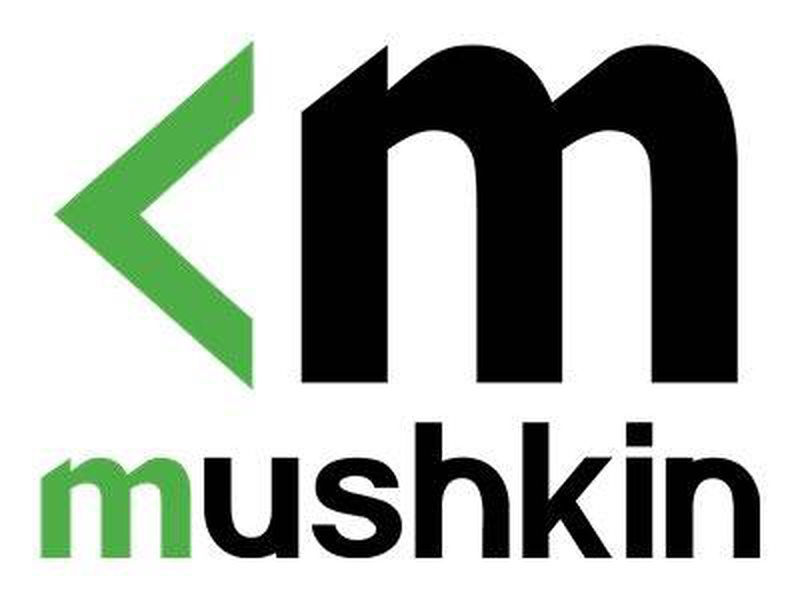 Mushkin essentials / ddr4 / module / 8GB / dimm 288-pin / 3200 mhz / pc4-25600 / cl22 / 1.2 v / unbuffered / non-ecc-null