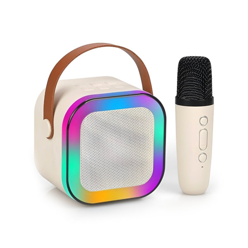 Wireless karaoke speaker-null