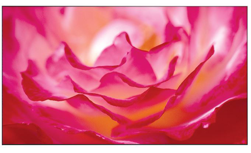 Benq pl460 digital signage-null