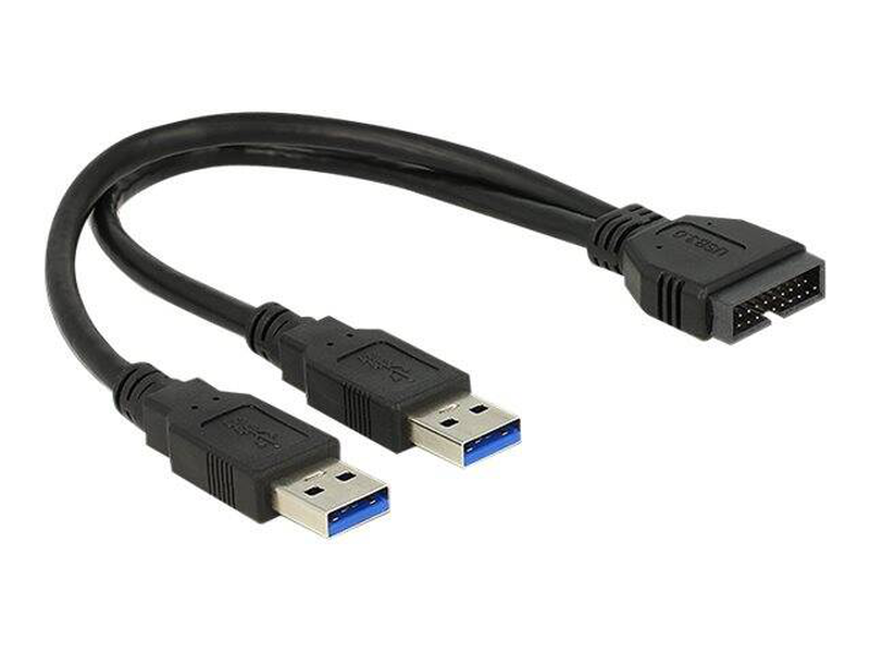 Delock - USB internal to external cable - 19 pin USB 3.0 header (m) to USB type a (m) - 25 cm - black-null