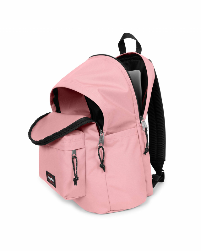 Day office pastel pink-null