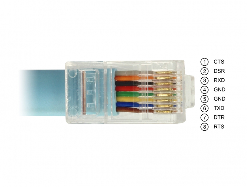 Delock - serial cable - USB (m) to rj-45 (m) - 2 m - eia-232 - blue-null