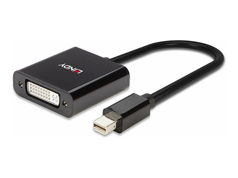 Lindy - adapter cable - mini displayport (m) to dvi-d (f) - displayport 1.2 - 16 cm - active, 1920 x 1200 (wuxga) support - black-null
