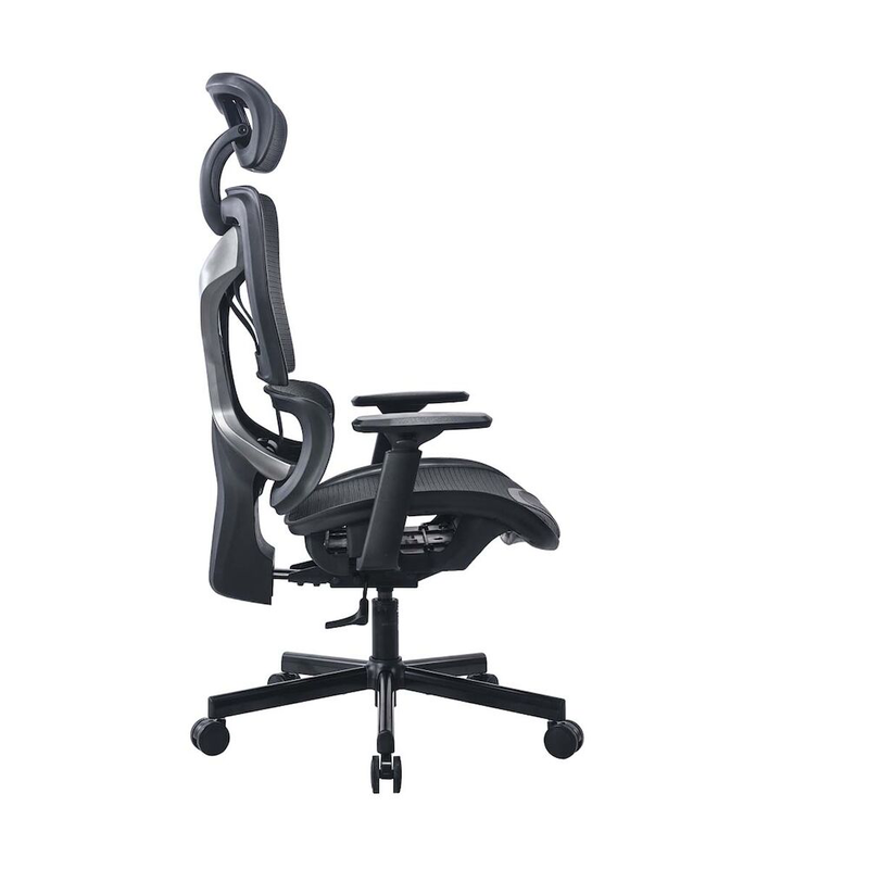 Ergo x adxergox24g, , medium-null