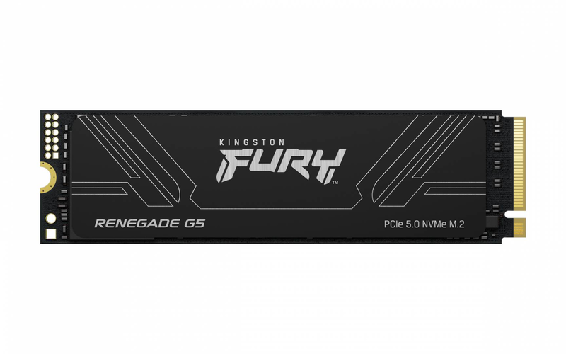 Kingston technology 1t fury renegade g5 m.2 2280 nvme SSD, 1.02TB, m.2, 14200 mb/s, , medium-null