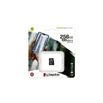 Kingston micro sd card 256GB