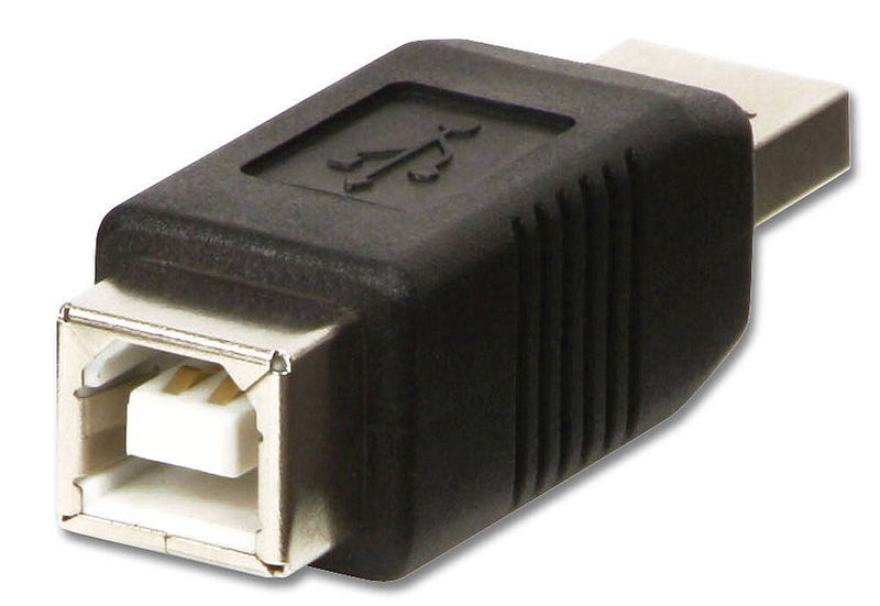 Lindy - USB adapter - USB (m) to USB type b (f) - USB 2.0 - black-null