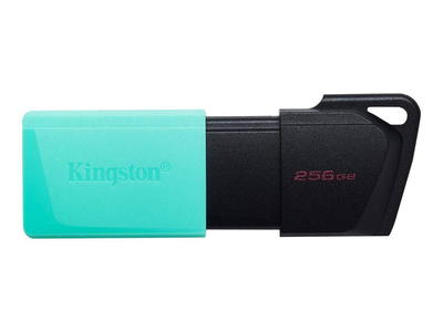 Kingston datatraveler exodia m / USB flash drive / 256GB / USB 3.2 Gen 1, , medium