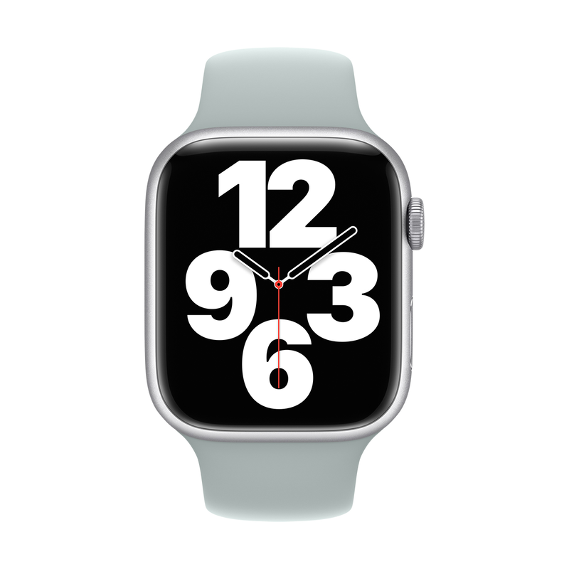 Product image: 45mm succulent sport band-null