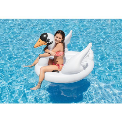 Ride on majestic swan