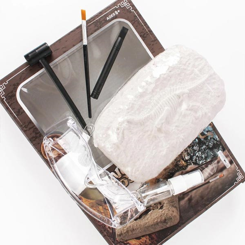 Dinosaur fossil excavation, , medium-null