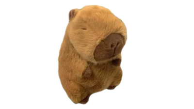 Classic capybara plush toy, , medium