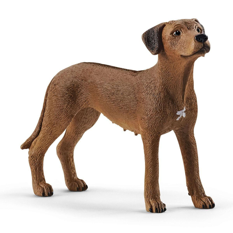 Product image: Schleich 13895 rhodesian ridgeback dog figure-null
